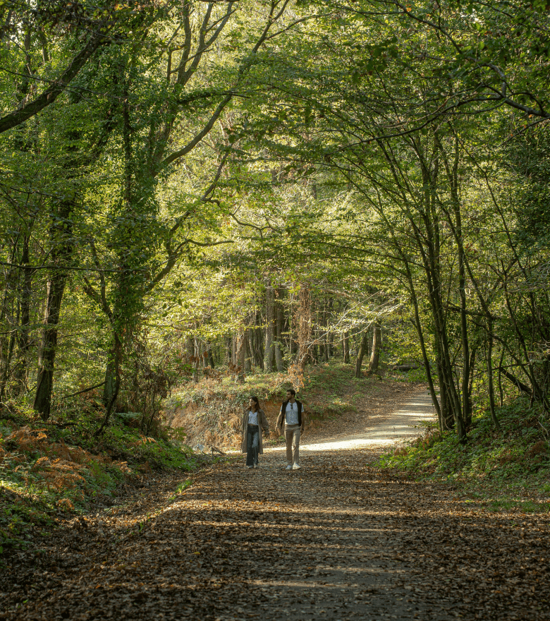 Card - Balades nature méconnues aux portes de Paris
