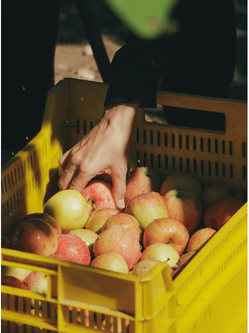 Picture text 2 - ferme cueillette